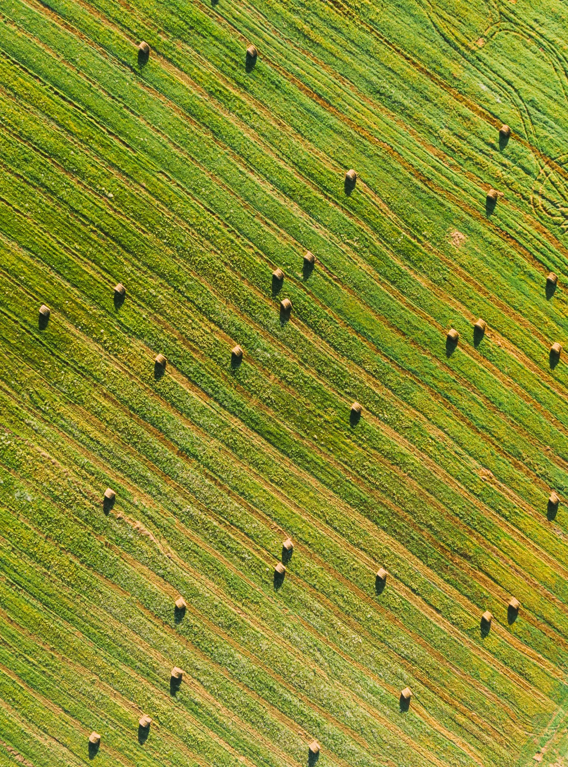 Aerial View of Field