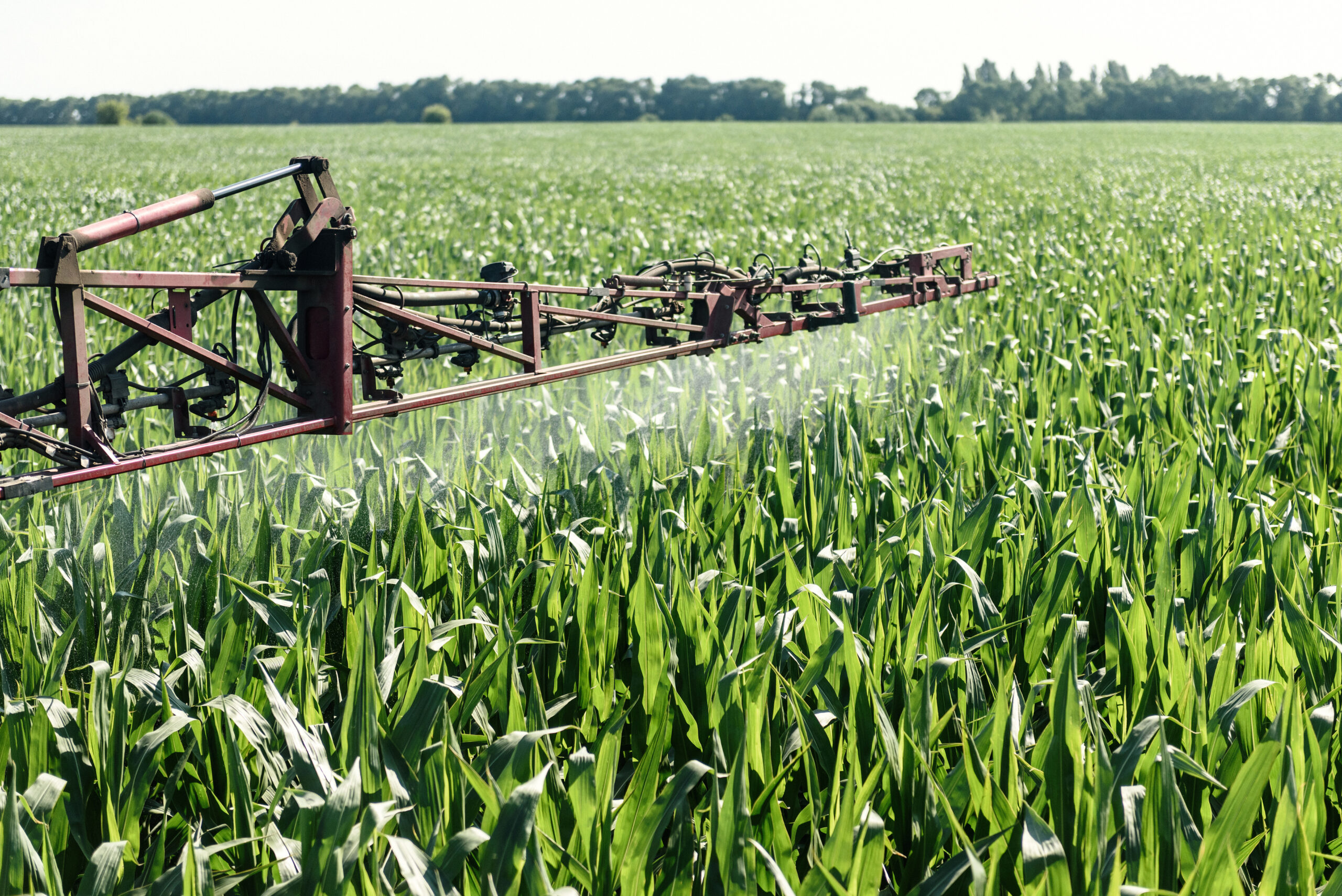 Nitrogen Application to Field