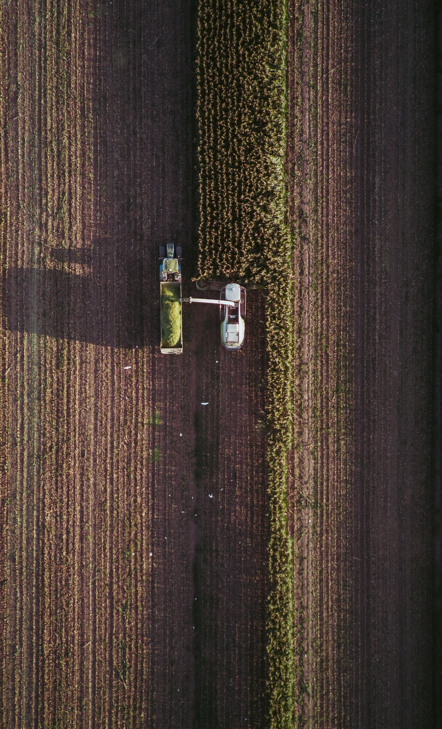 Aerial View of Field Harvest
