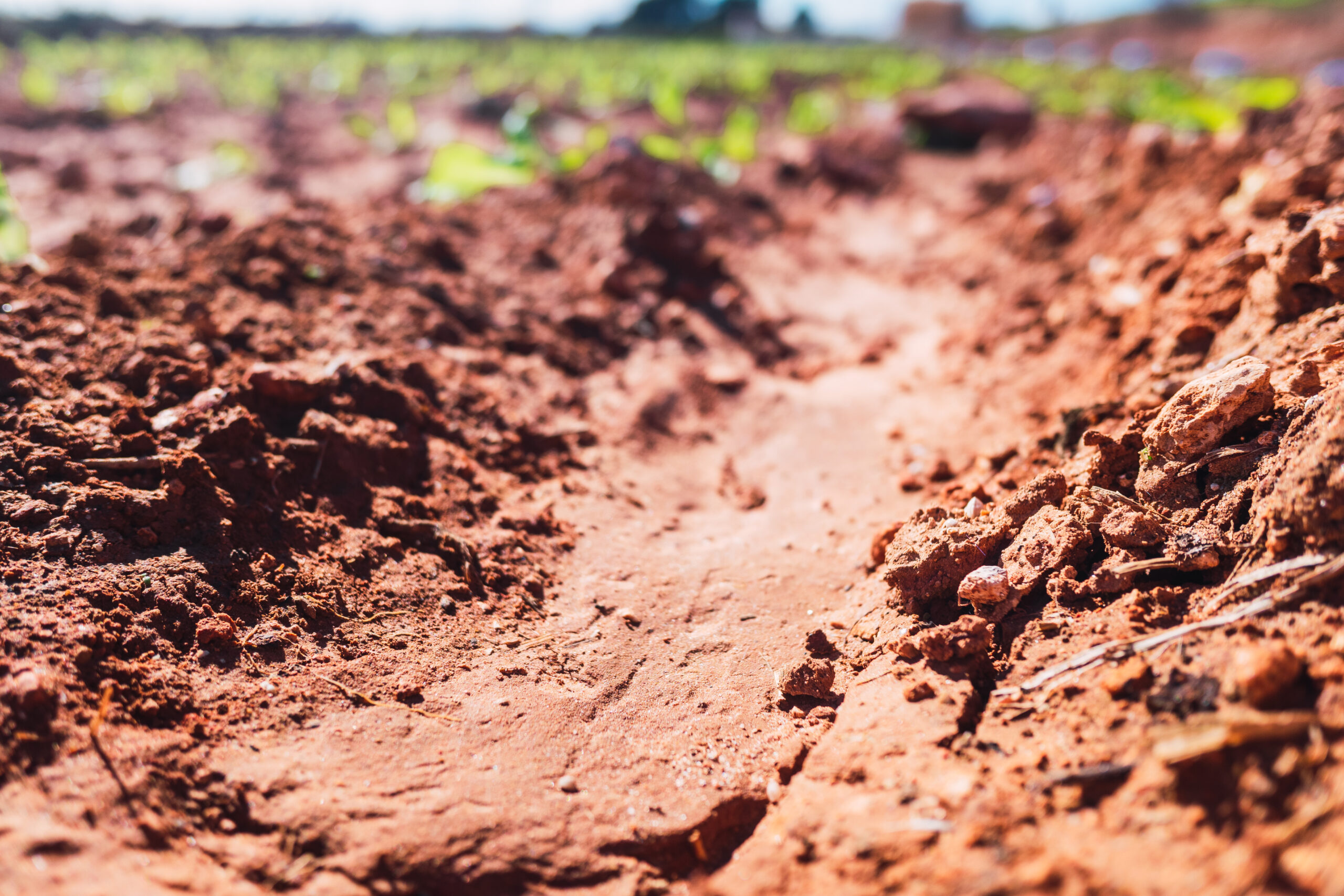 Soil Testing